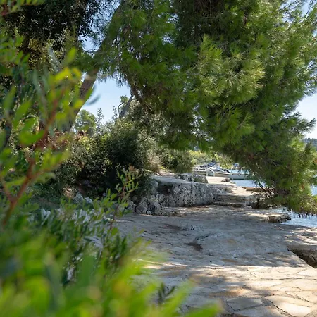 Apartament Mare Loft